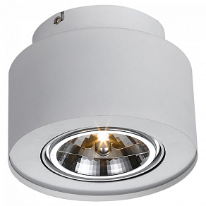Накладной светильник Arte Lamp Cliff A5643PL-1WH