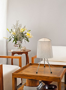 Настольная лампа декоративная Maytoni Comfort MOD008TL-01N