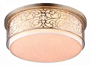 Накладной светильник Maytoni Venera H260-05-N