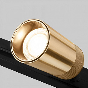 Светильник на штанге Elektrostandard Riffe 85512/01