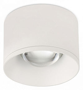 Накладной светильник SIMPLE STORY 2060 2060-LED7CLW