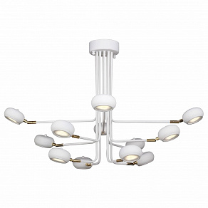 Люстра на штанге Favourite Ellisse 1748-12U