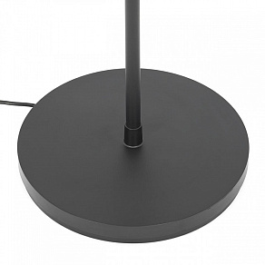 Торшер Citilux LOONG CL810031