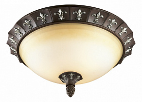 Накладной светильник Odeon Light Ridera 2784/3C