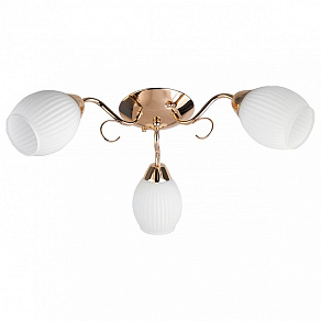 Потолочная люстра TopLight Kristin TL3520X-03FG