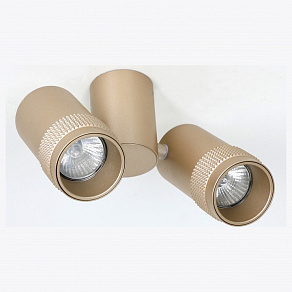 Спот Favourite Kinescope 2455-2U