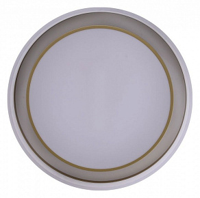 Накладной светильник Zortes Adel ZRS.1200.01