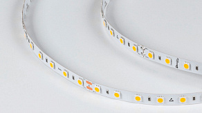 Лента светодиодная DesignLed DSG560 00-00000521