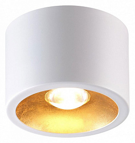 Накладной светильник Odeon Light Glasgow 3877/1CL