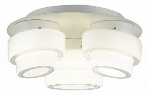 Накладной светильник ST-Luce Ovale SL546.502.03