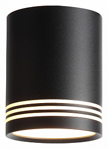 Накладной светильник ST-Luce Cerione ST101.402.12