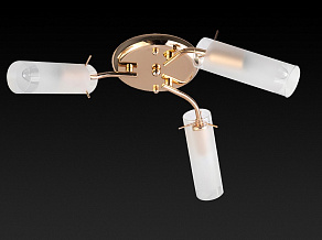 Потолочная люстра TopLight Brittany TL7130X-03FG