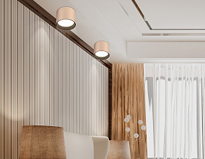 Накладной светильник Ambrella Light TN TN5305