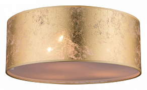 Накладной светильник Globo Amy 15187D