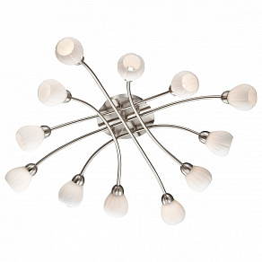 Потолочная люстра Odeon Light Akron 2469/12C