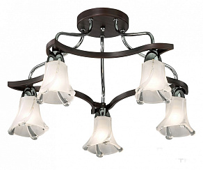 Потолочная люстра Odeon Light Iwo 2237/5С