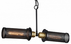 Подвесной светильник Favourite Strainer 1788-2P