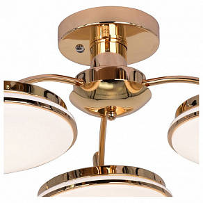 Потолочная люстра F-promo Ledante 2473-3P