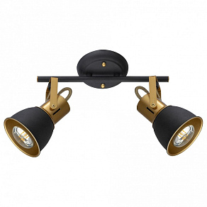 Спот Arte Lamp Jovi A1677PL-2GO