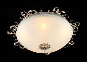 Накладной светильник Maytoni Speria CL900-05-G