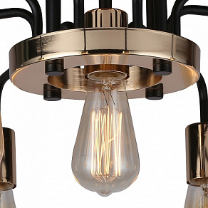 Потолочная люстра Arte Lamp 6001 A6001PL-9BK