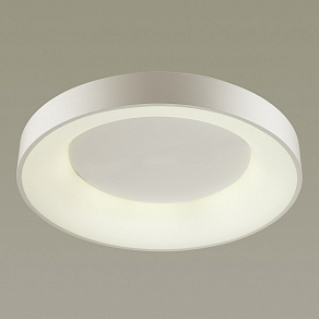 Накладной светильник Odeon Light Sole 4062/80CL