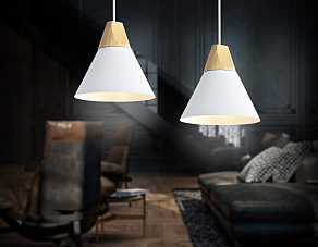 Подвесной светильник Ambrella TR TR8195