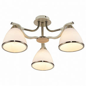 Потолочная люстра TopLight Sheena TL3670X-03AB