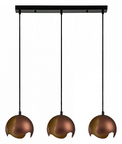 Подвесной светильник Indigo Severo 10004/3P Black