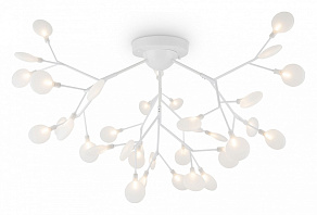 Потолочная люстра Freya Florencia FR5049CL-36W1