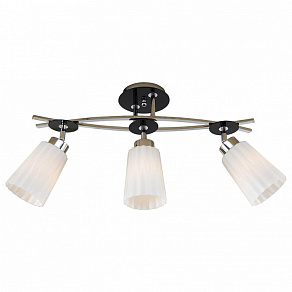 Люстра на штанге Citilux Димона CL148131