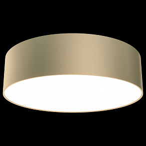 Накладной светильник Maytoni Zon C032CL-L32MG4K
