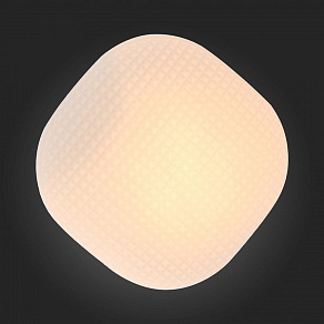 Накладной светильник ST-Luce Pone SL504.552.01