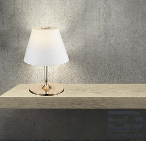 Настольная лампа декоративная Zumaline Canas T1328-02S-F7AA