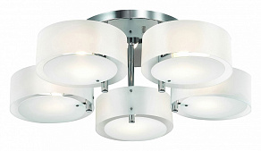 Потолочная люстра EVOLUCE Foresta SL483.502.05