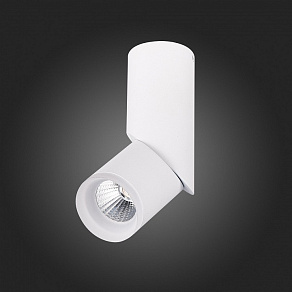 Спот ST-Luce Tortelle ST107.542.10