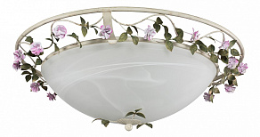 Накладной светильник Lightstar Aiola 785530