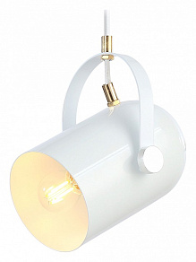 Подвесной светильник Ambrella TR TR8205