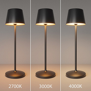 Настольная лампа декоративная Maytoni Nook MOD494RL-L1BK