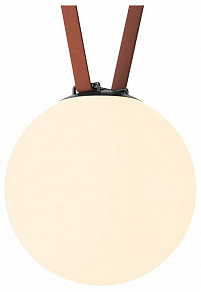 Накладной светильник Denkirs Belty Orb DK5555-BK