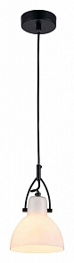 Подвесной светильник Maytoni Daniel MOD407-PL-01-B