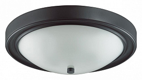 Накладной светильник Lumion Nina 5260/3C