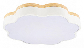 Накладной светильник Loft it Axel 10225/36 White