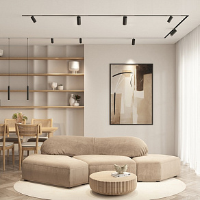 Светильник на штанге Denkirs Denkirs Simple DK8210-BK