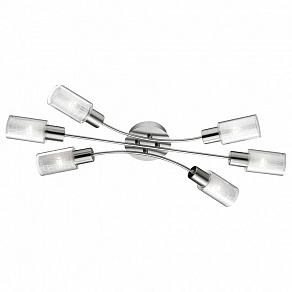 Потолочная люстра Odeon Light Hales 2613/6C