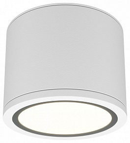 Накладной светильник Maytoni Rendo C095CL-GX53-W