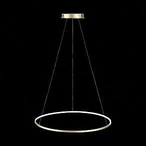 Подвесной светильник ST-Luce Erto SL904.213.01