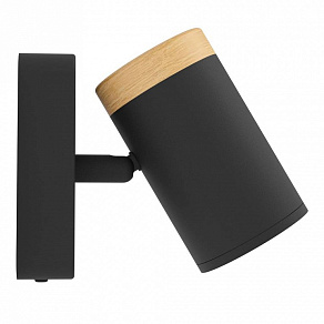 Спот Eglo CONSUMA 300001