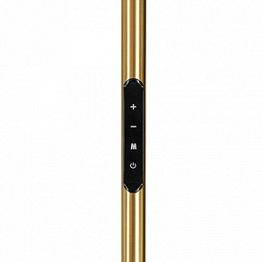 Торшер Eglo CASTELPOTO 1 901975