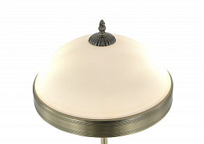 Настольная лампа декоративная MyFar Biene MR2522-2T